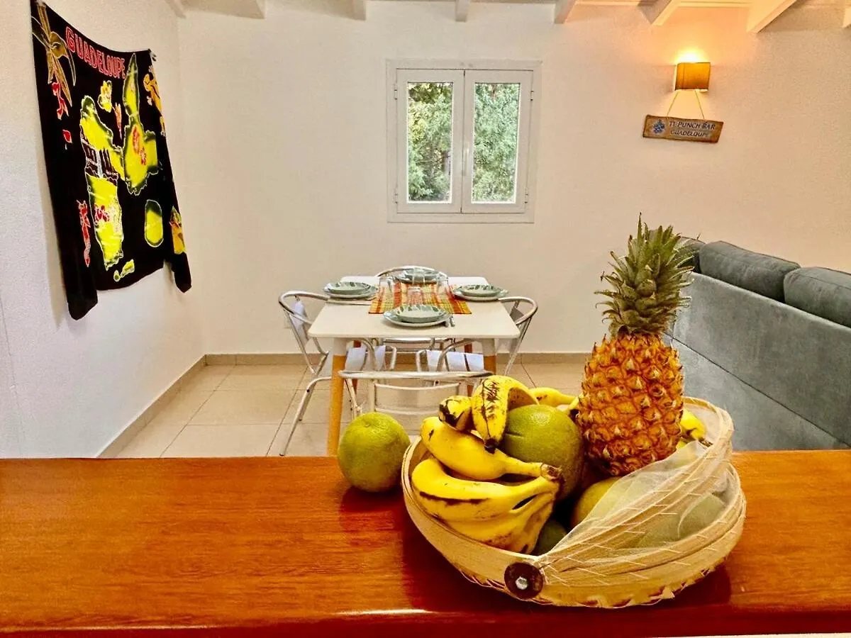 Superbe Appartement Vue Mer 데샤이에스 과달루프